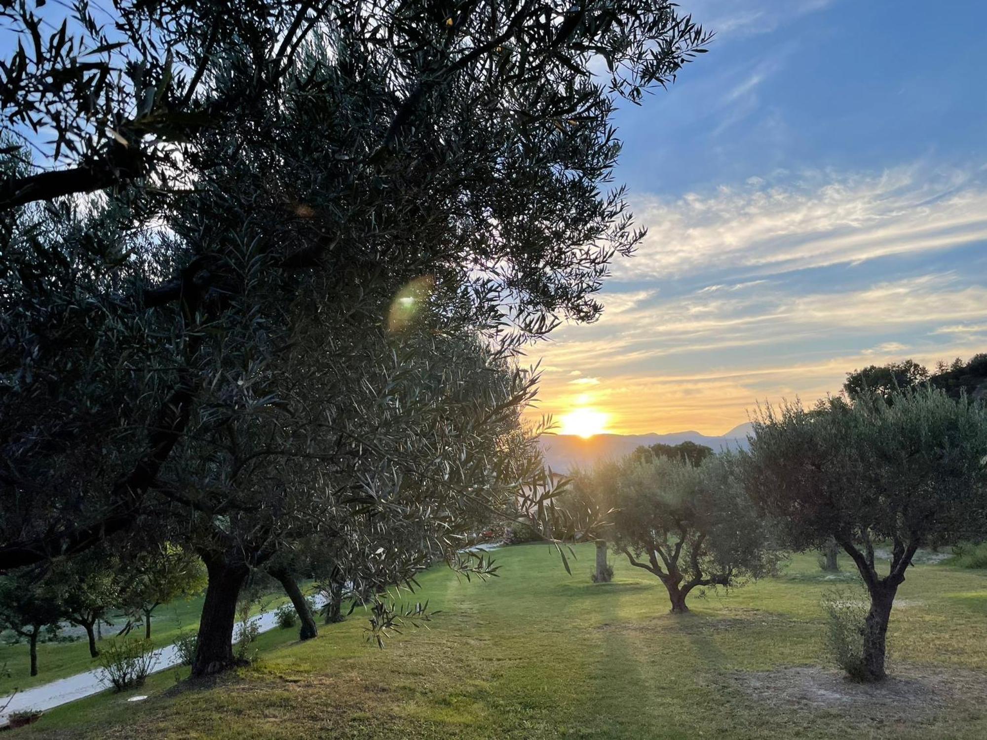 Agriturismo Villa Rosetta San Severino Marche Luaran gambar