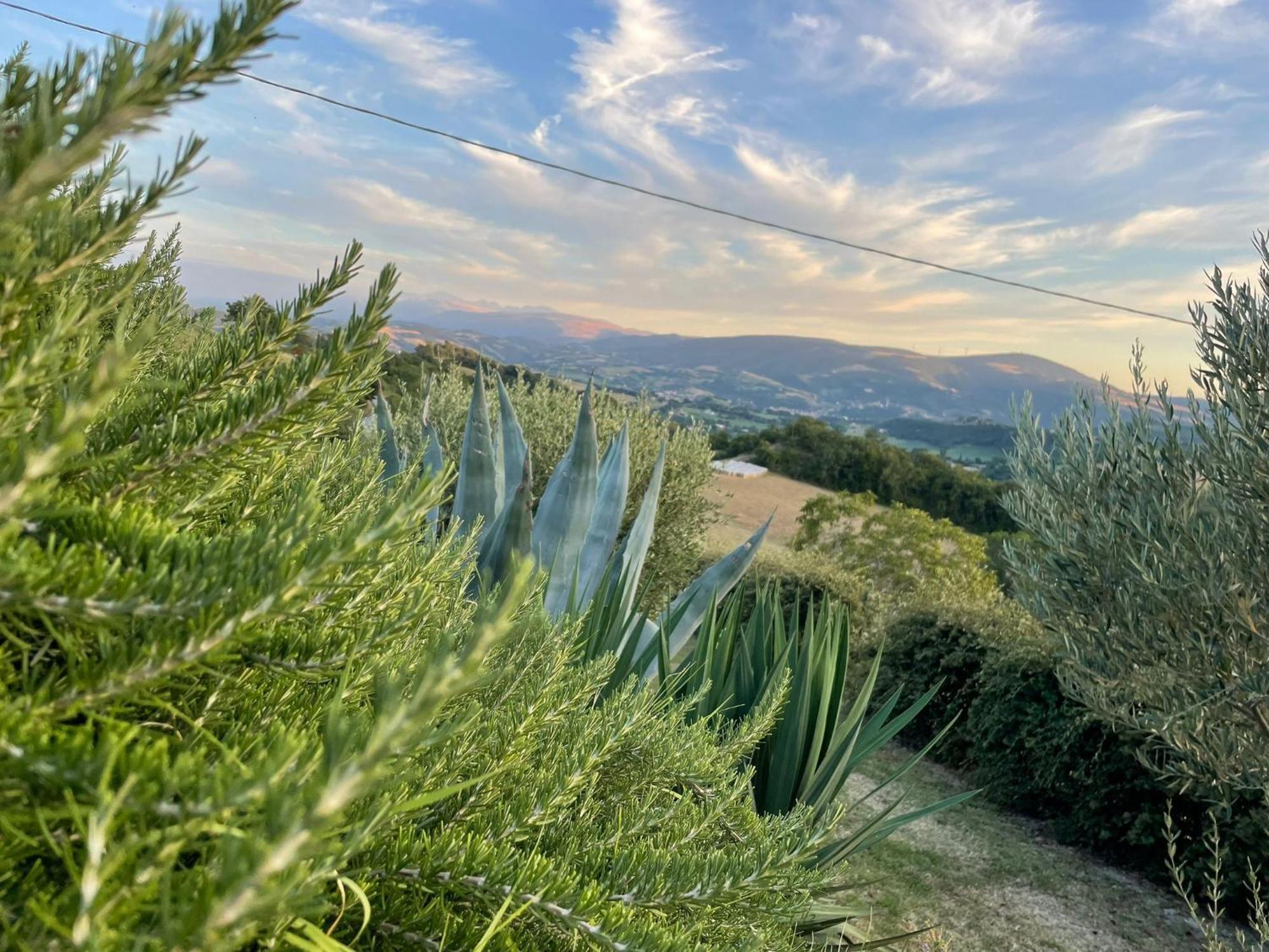 Agriturismo Villa Rosetta San Severino Marche Luaran gambar