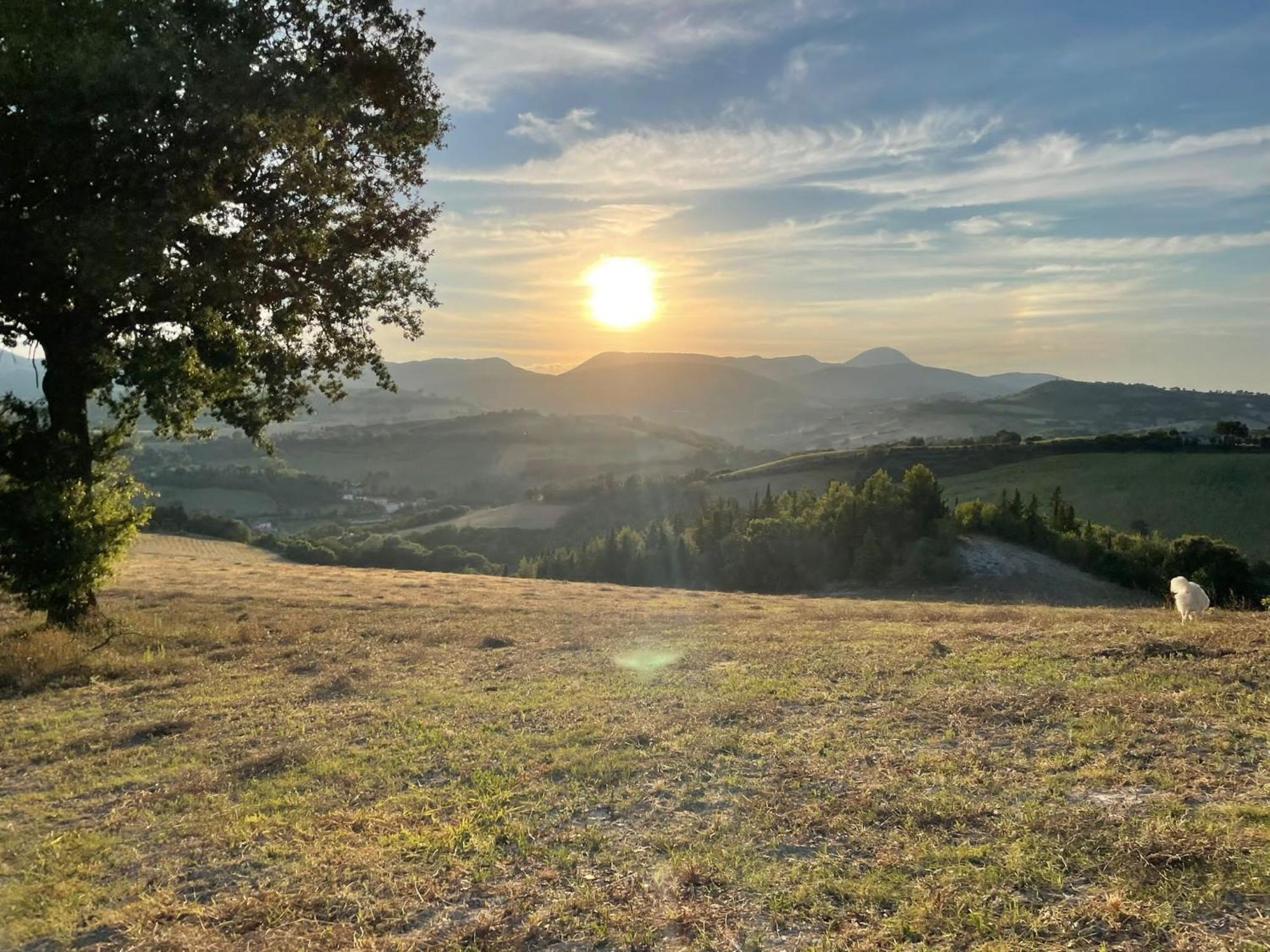 Agriturismo Villa Rosetta San Severino Marche Luaran gambar