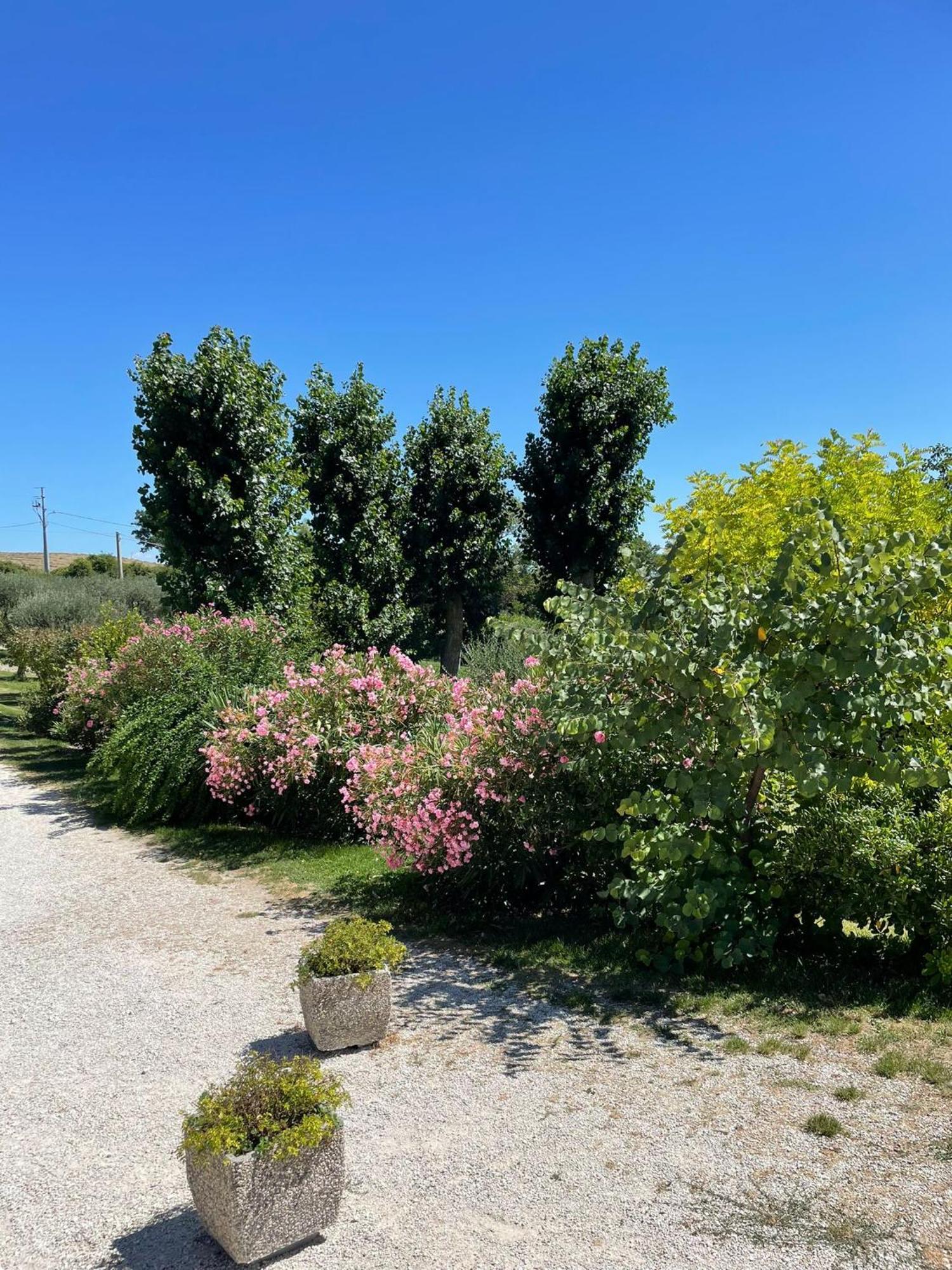 Agriturismo Villa Rosetta San Severino Marche Luaran gambar