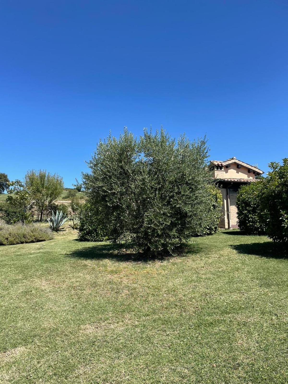 Agriturismo Villa Rosetta San Severino Marche Luaran gambar