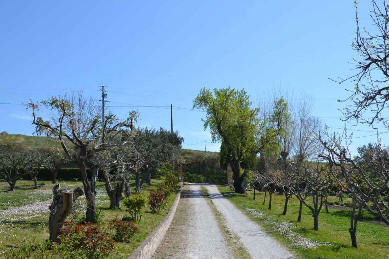 Agriturismo Villa Rosetta San Severino Marche Luaran gambar