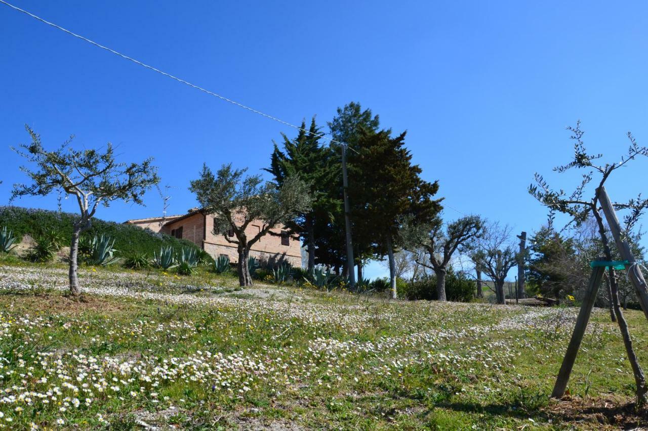 Agriturismo Villa Rosetta San Severino Marche Luaran gambar