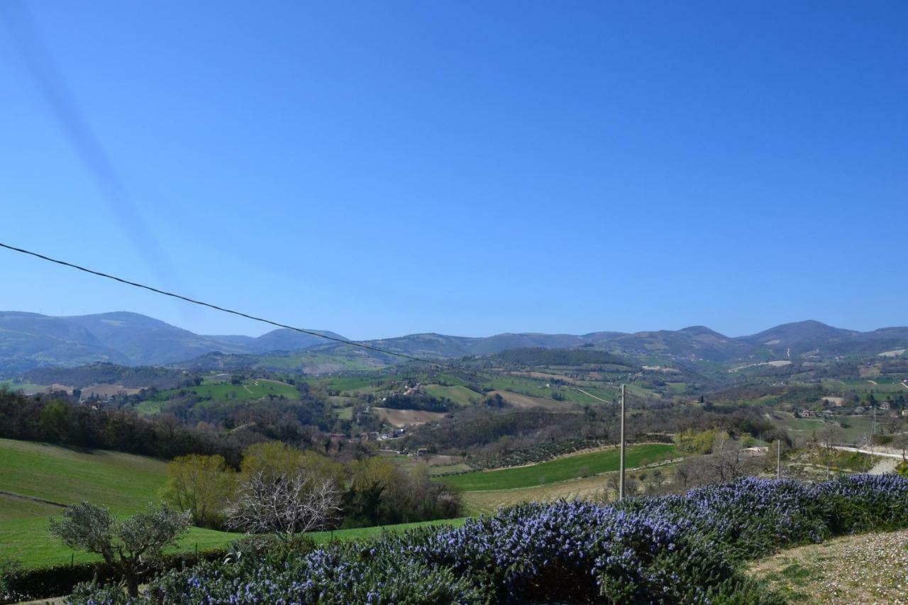 Agriturismo Villa Rosetta San Severino Marche Luaran gambar