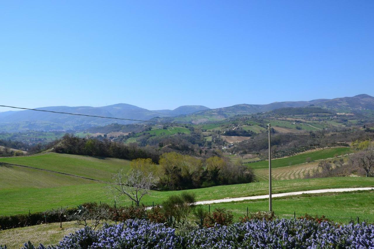 Agriturismo Villa Rosetta San Severino Marche Luaran gambar