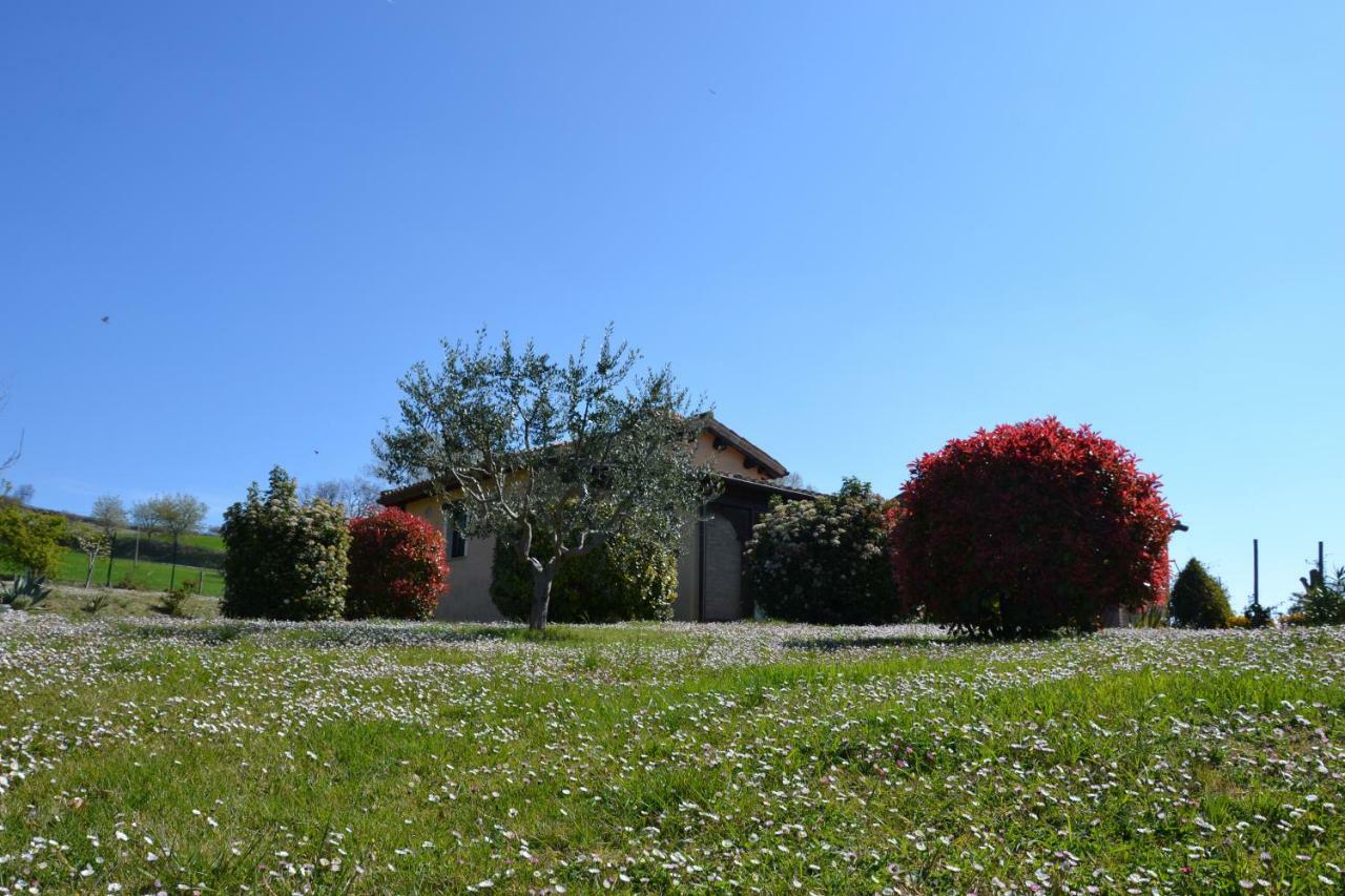 Agriturismo Villa Rosetta San Severino Marche Luaran gambar